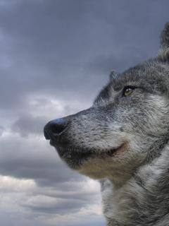 Other Wallpapers 0712